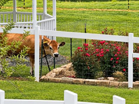 288 Happy Valley Drive Blairsville GA 30512