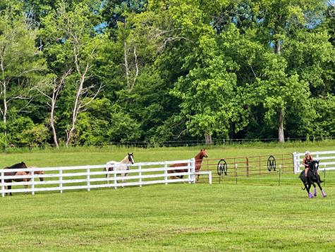 288 Happy Valley Drive Blairsville GA 30512