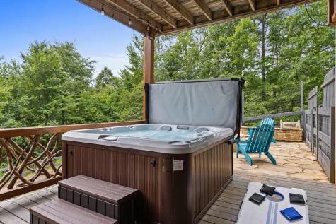 98 Shalom Lane Blue Ridge GA 30513