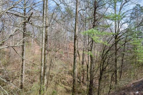 1018 Tails Creek Road Ellijay GA 30540