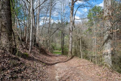 1018 Tails Creek Road Ellijay GA 30540