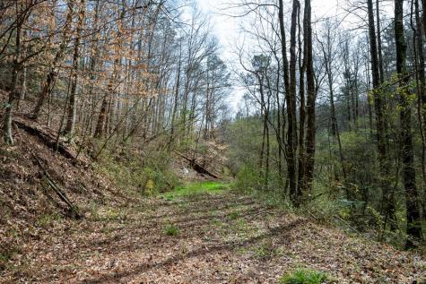 1018 Tails Creek Road Ellijay GA 30540