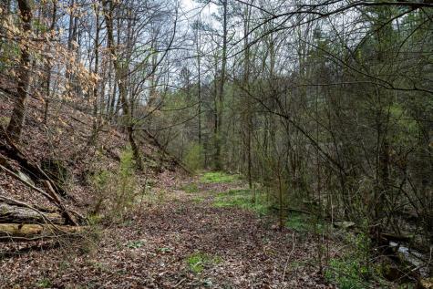 1018 Tails Creek Road Ellijay GA 30540