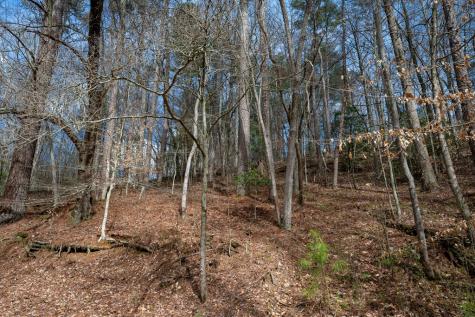 1018 Tails Creek Road Ellijay GA 30540