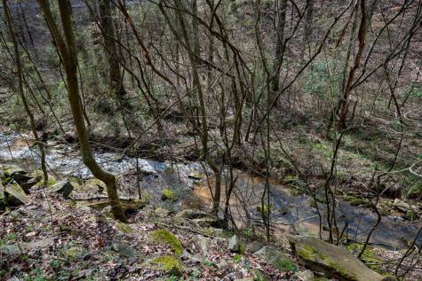 1018 Tails Creek Road Ellijay GA 30540