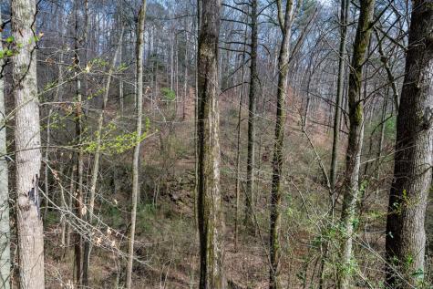 1018 Tails Creek Road Ellijay GA 30540