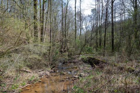 1018 Tails Creek Road Ellijay GA 30540