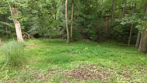 161 Arbor Way Blue Ridge GA 30513