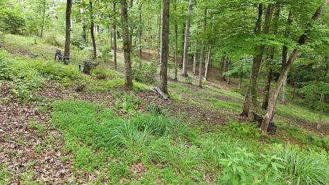 161 Arbor Way Blue Ridge GA 30513
