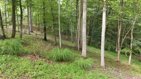 161 Arbor Way Blue Ridge GA 30513