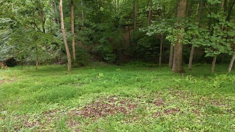 161 Arbor Way Blue Ridge GA 30513