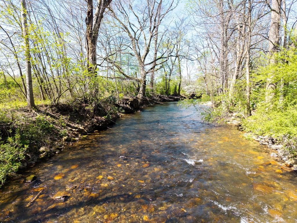 9 Tusquittee Creek Lane Hayesville NC 28904