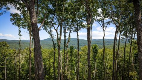210 Hemptown Overlook Morganton GA 30513