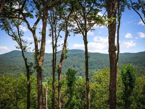 210 Hemptown Overlook Morganton GA 30513