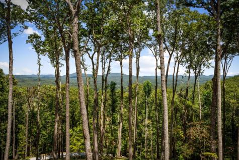 210 Hemptown Overlook Morganton GA 30513