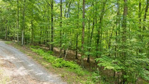 Lt 16 Navajo Trail Mccaysville GA 30555