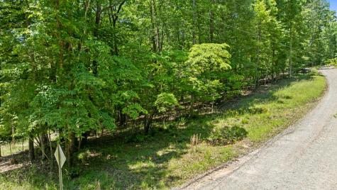 Lt 16 Navajo Trail Mccaysville GA 30555