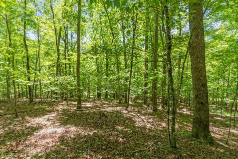 Lt 16 Navajo Trail Mccaysville GA 30555