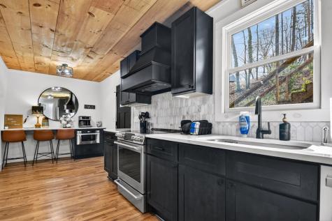 59 Chiefs Lane Blue Ridge GA 30513