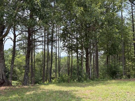 165, 157 Barker Circle Copperhill TN 37317