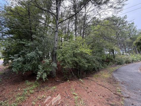 165, 157 Barker Circle Copperhill TN 37317