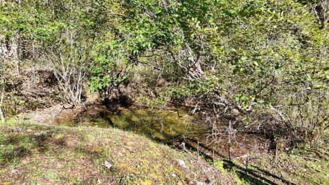 197 Pounding Mill Connector Hayesville NC 28904