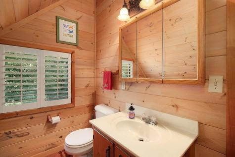 68 Julie Court Ellijay GA 30540