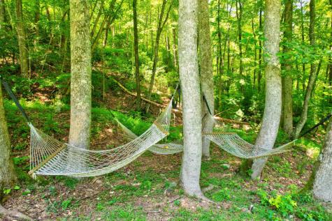50 Trails End Court Ellijay GA 30536