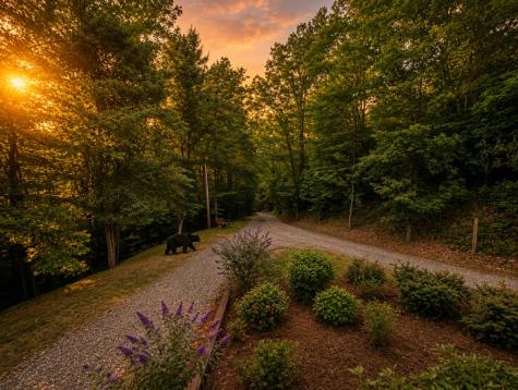 728 Deer Lane Hiawassee GA 30546