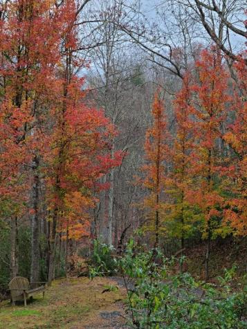728 Deer Lane Hiawassee GA 30546
