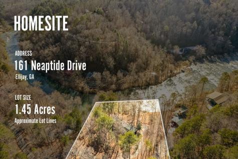 161 Neaptide Drive Ellijay GA 30540