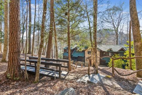 161 Neaptide Drive Ellijay GA 30540