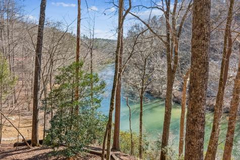 161 Neaptide Drive Ellijay GA 30540
