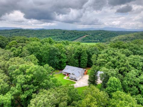 226 Bailey Farm Drive Mineral Bluff GA 30559