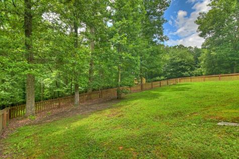 226 Bailey Farm Drive Mineral Bluff GA 30559