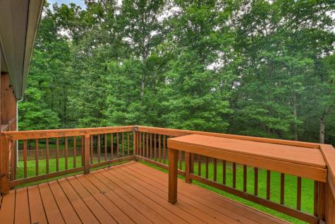 226 Bailey Farm Drive Mineral Bluff GA 30559