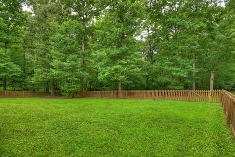 226 Bailey Farm Drive Mineral Bluff GA 30559