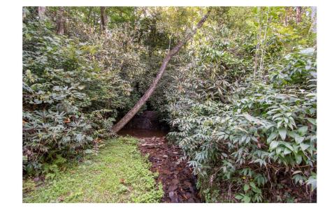 57 Clay Durrett Road Murphy NC 28906