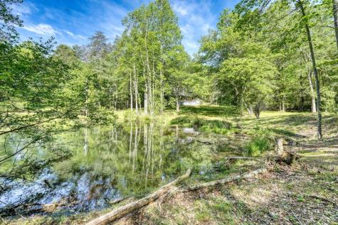 1493 Greasy Creek Road Brasstown NC 28902