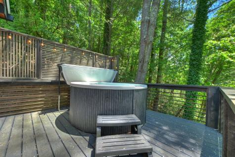 1027 Power Dam Road Blue Ridge GA 30513