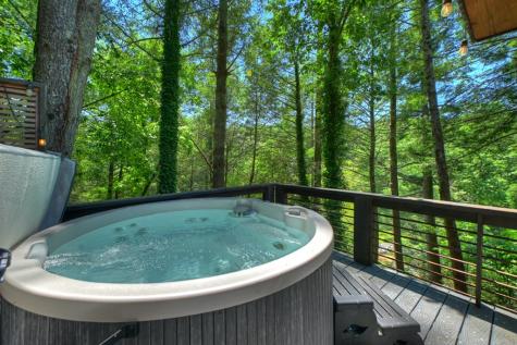 1027 Power Dam Road Blue Ridge GA 30513