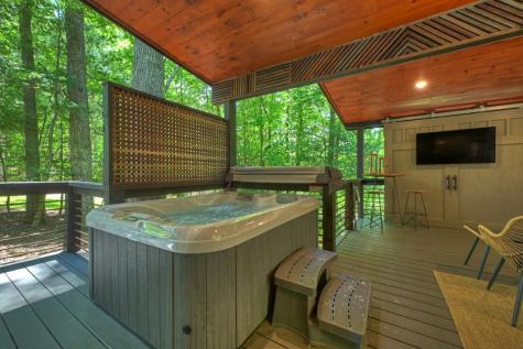1027 Power Dam Road Blue Ridge GA 30513