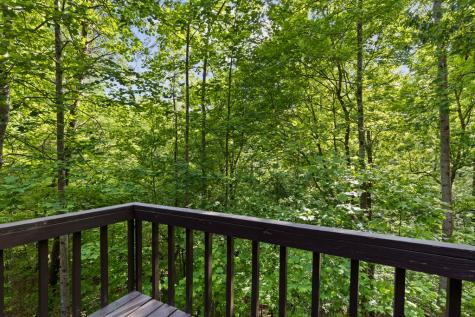 62 Walkabout Creek Road Morganton GA 30560