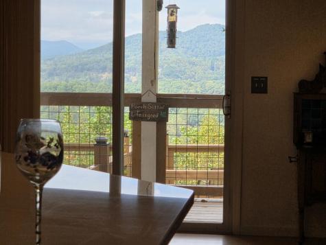 238 Ridge View Lane Hayesville NC 28904