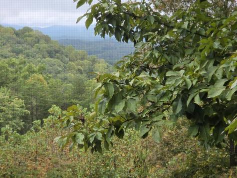 238 Ridge View Lane Hayesville NC 28904
