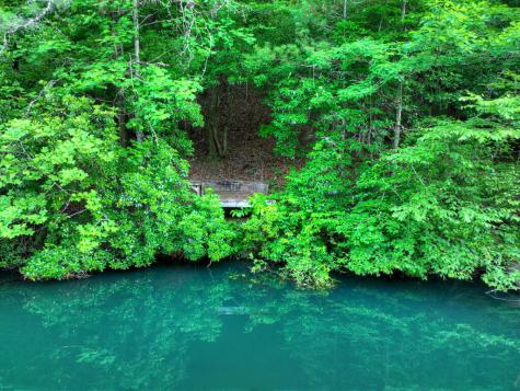 932 Granny Branch Blue Ridge GA 30513