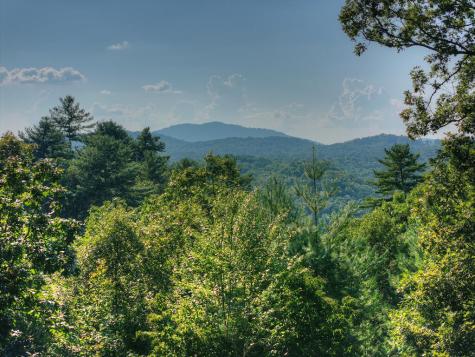 16 Mid Mountain Road Mineral Bluff GA 30559