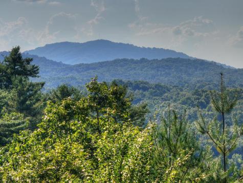 16 Mid Mountain Road Mineral Bluff GA 30559