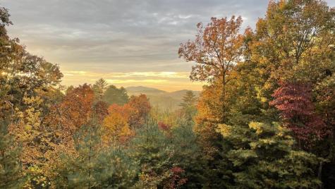 16 Mid Mountain Road Mineral Bluff GA 30559