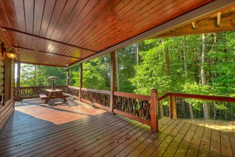 16 Mid Mountain Road Mineral Bluff GA 30559